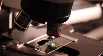 Tumori urologici, un e-Nose per scovarli: lo studio