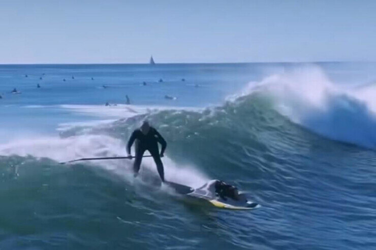 Tandem cane-padrone sul surf 