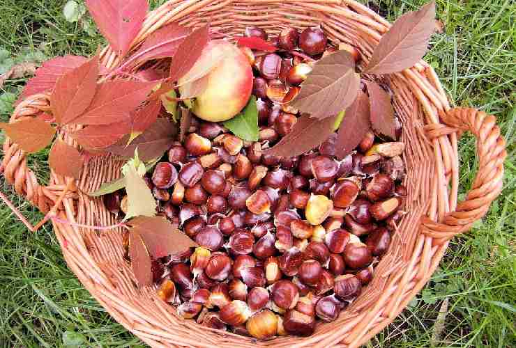 8 ricette a base di castagne