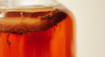 Kombucha: cos’è e come prepararlo a casa