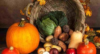Si avvicina la stagione della zucca: le ricette più buone da preparare