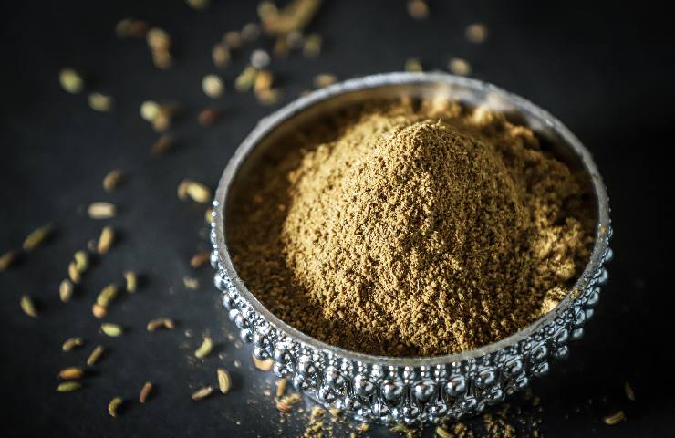 il curry "garam masala"