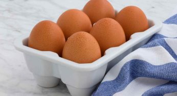 Le uova in casa vanno in frigo, ma al supermercato no. Ecco perché questa scelta e guai a sbagliare